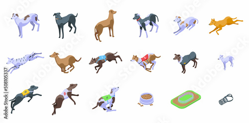 Greyhound icons set isometric vector. Whippet animal. Breed canine