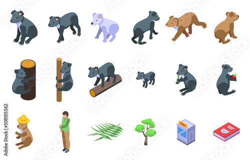 Koala icons set isometric vector. Australian bear. Animal lazy