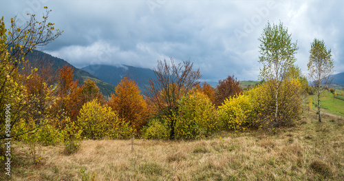 Cloudy and foggy day autumn mountains scene. Peaceful picturesque traveling, seasonal, nature and countryside beauty concept scene. Carpathian Mountains, Ukraine.