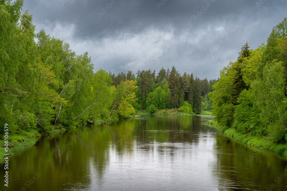 Fototapeta premium River Gauja in Latvia