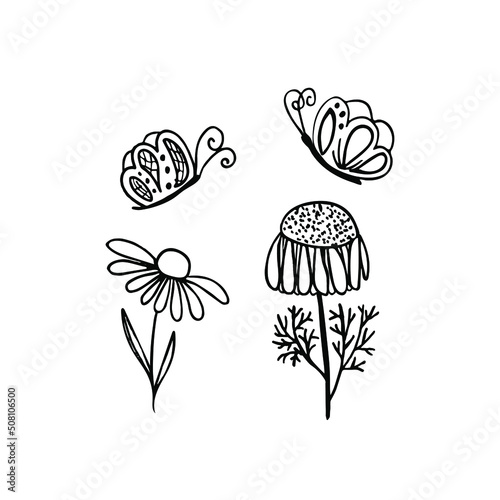 Hand drawn flowers. White background. Beautiful cute vector illustration for printing cards, invitations, t shirt.