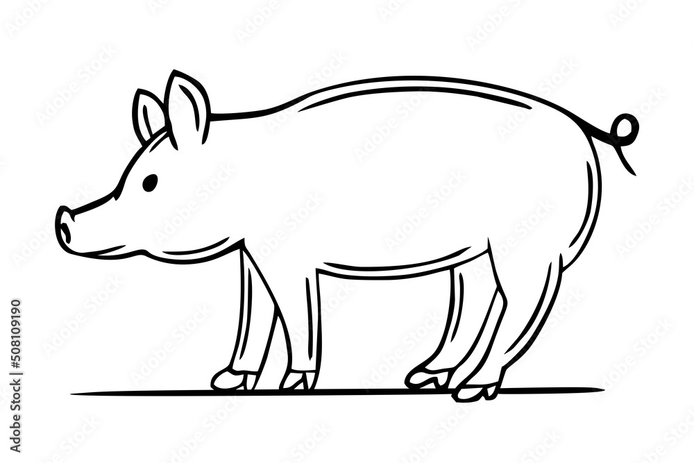 A hand-drawn piglet. Restaurants cooking doodle. Vector illustration