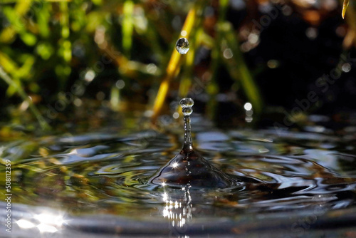 Macro of water droplets