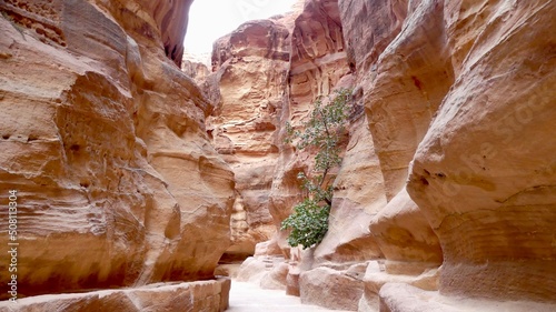 Al Siq, the famous gulche in Petra, Jordan. High quality photo