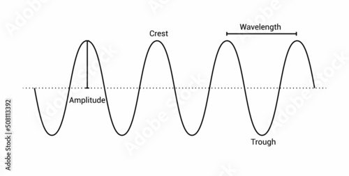 Label the parts of a transverse wave. Crest, trough, wavelength and amplitude of the wave. The anatomy of a wave vector illustration isolated on white background