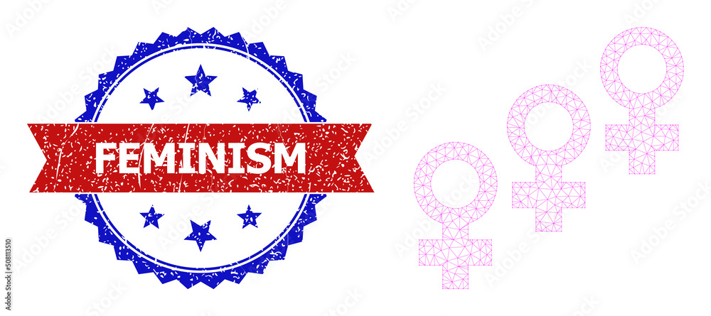 Net mesh female cohort polygonal framework icon, and bicolor grunge Feminism seal stamp. Red stamp seal contains Feminism text inside ribbon and blue rosette. Net mesh female cohort polygonal framework icon, and bicolor grunge Feminism seal stamp. Red stamp seal contains Feminism text inside ribbon and blue rosette.