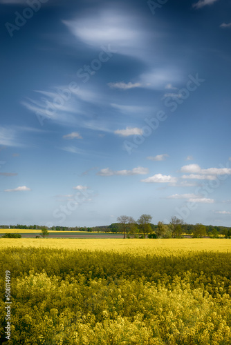 The perfect landscape of fields in a sunny day with perfect clouds in the sky