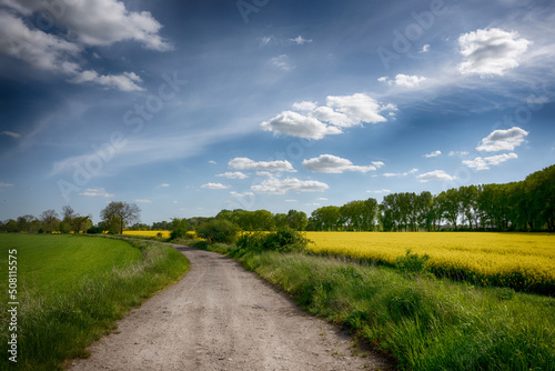 The perfect landscape of fields in a sunny day with perfect clouds in the sky