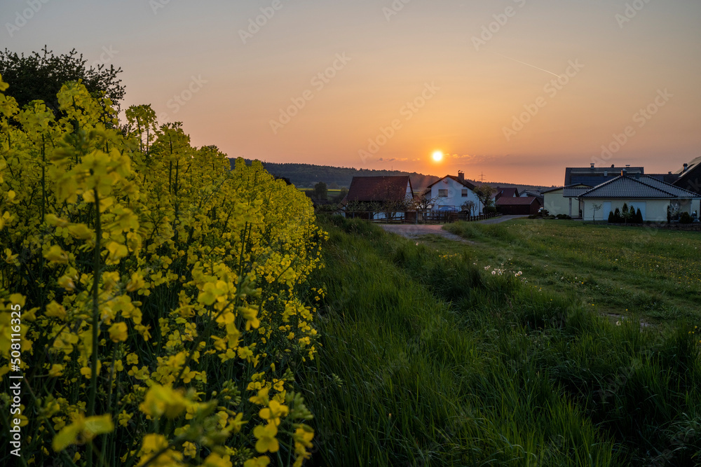 Naklejka premium Abendstimmung in der Rhön zur Rapsblüte