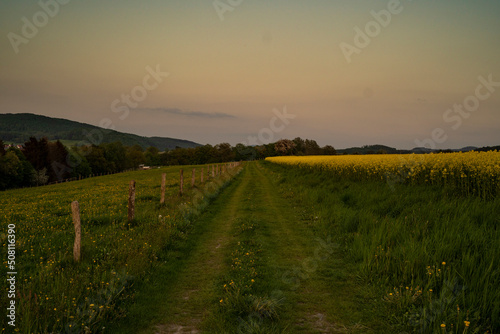 Abendstimmung in der Rhön zur Rapsblüte © Holger W. Spieker