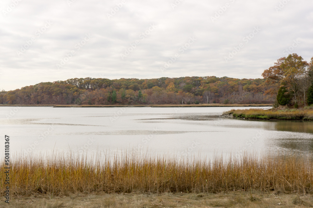 Fototapeta premium Weymouth's Back river in atumn.