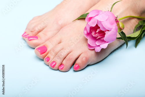 woman with beautiful feet with pedicure and  peony on  blue background . Spa concept 