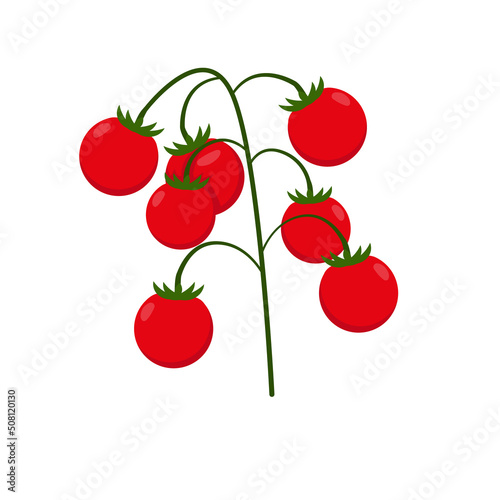 Vector illustration of tomato cherry isolated on white background in flat style