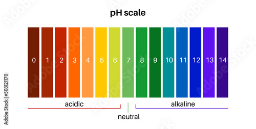 PH scale diagram