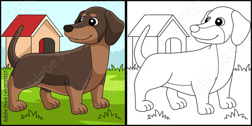 Dachshund Dog Coloring Page Colored Illustration