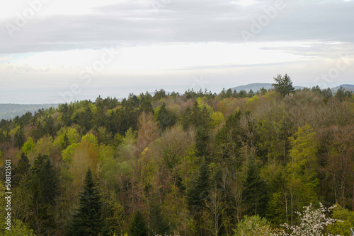 German nature in spring, photographed in the Bavarian Forest