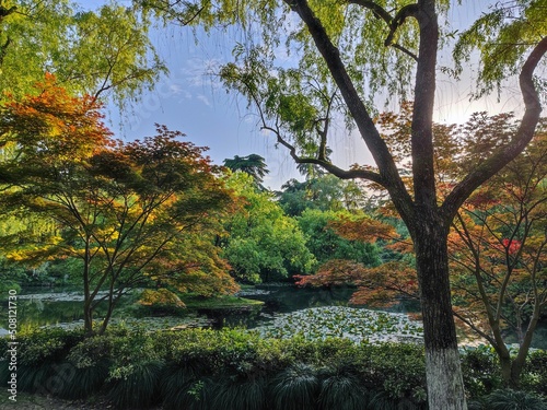 autumn in the park