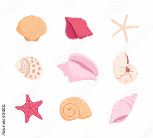 Photo Set of sea shells and starfishes