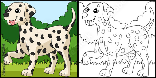 Dalmatian Dog Coloring Page Colored Illustration