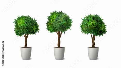 3d realistic vector icon set. Outdoor floor plant in white pot. Interior design and gerdening.