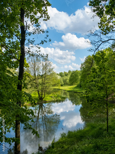 lake in the forest