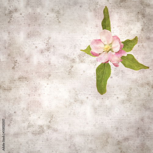 square stylish old textured paper background with apple blossoms 