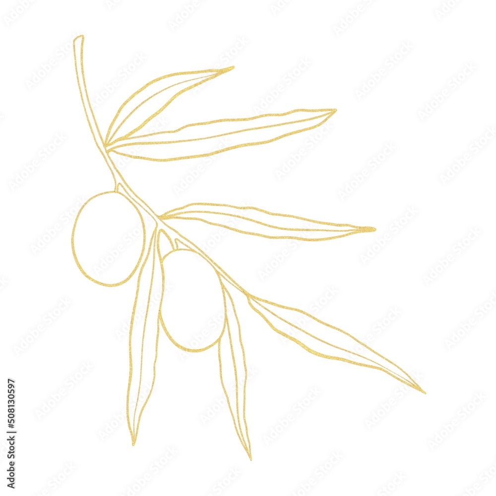 Gold line art olives branch  illustration