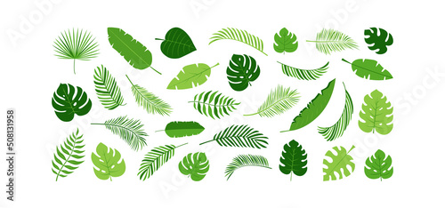 Palm leaf vector icon, green plant tree, exotic foliage set, tropical jungle isolated on white background. Nature summer illustration