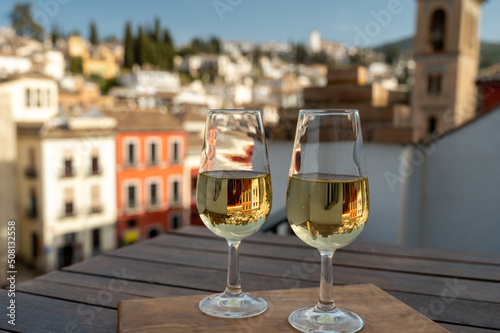 Tasting of sweet and dry fortified Vino de Jerez sherry wine with view on roofs and houses of old andalusian town