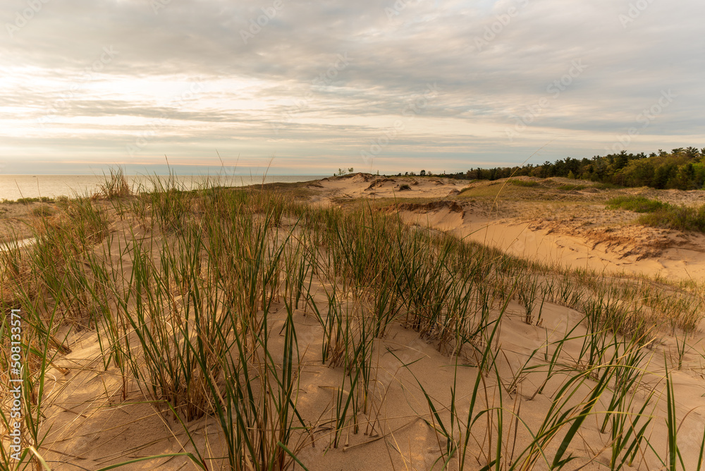 Grassy sand dunes and Lake Michigan at Sunset