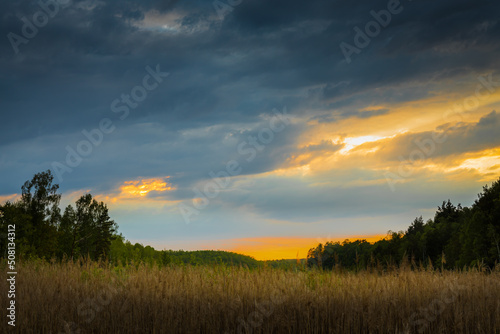 Zachód słońca nad trzcinowiskiem. © Maciej