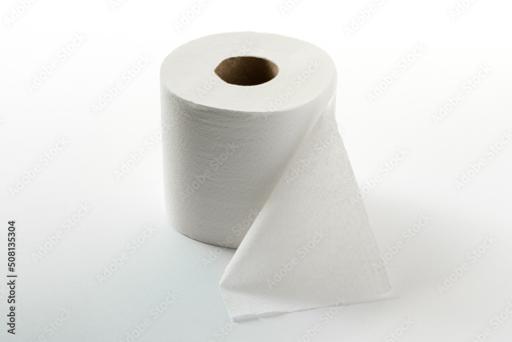 A Roll of Toilet Paper A Roll of Toilet Paper