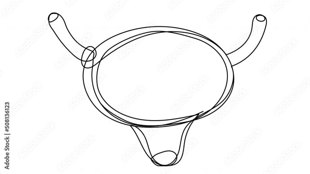 Video Stock Self-drawing of the bladder in one line on a white screen ...