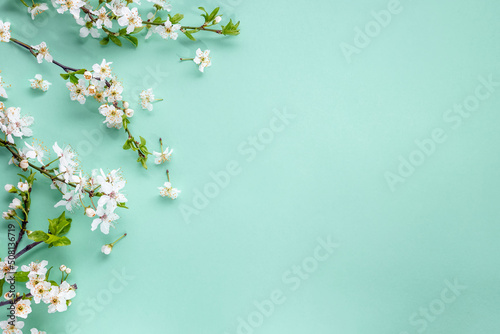Spring blooming branches on pastel blue background Fototapeta