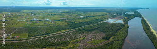 Aerial drone view of paddy plantations land scenery in Kuala Rompin, Pahang, Malaysia