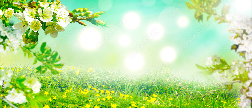 Beautiful branch of blossoming tree in spring. Beautiful branch of blossoming tree in spring.