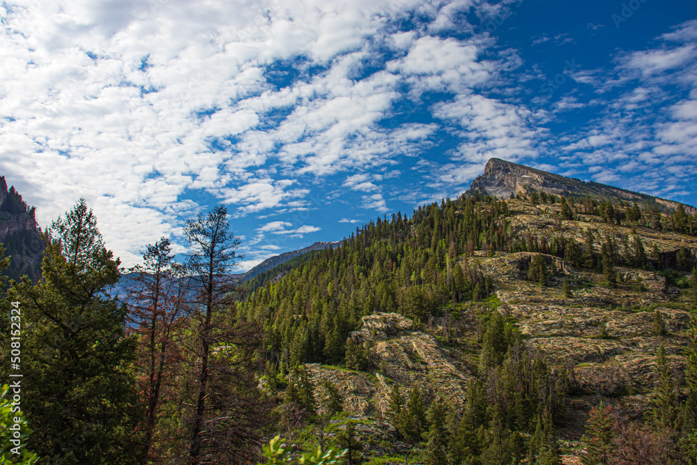 Beautiful Rocky Mountain forest with blue skies and white clouds
