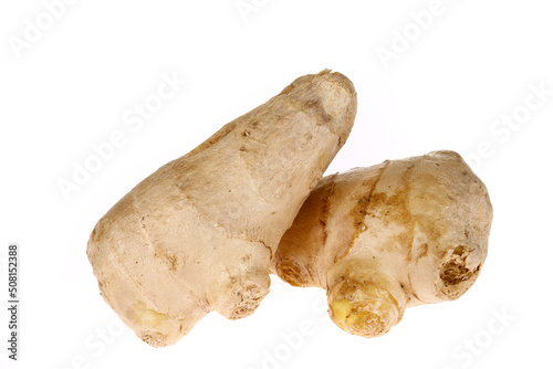 Fresh ginger isolated on a white background