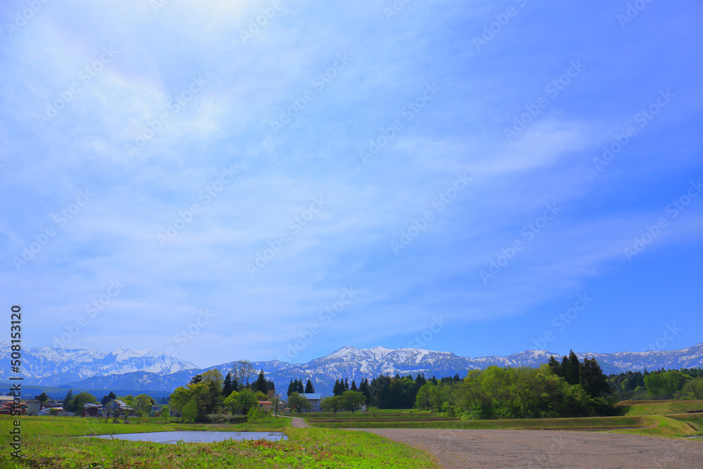 Fototapeta premium 残雪