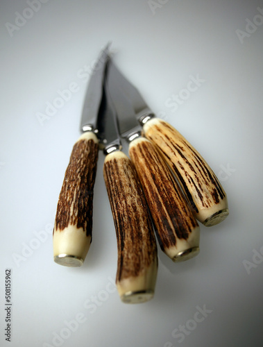 Steak Knives