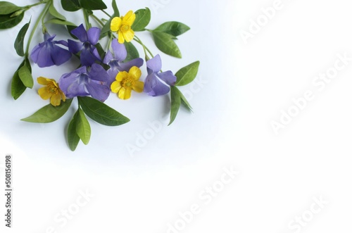 Spring bouquet. Lilac and yellow flowers on a white background. Background for a greeting card.