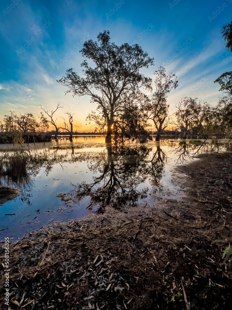 Blue sky and sunset with trees in silhouette and their reflections on a lake. Blue sky and sunset with trees in silhouette and their reflections on a lake.