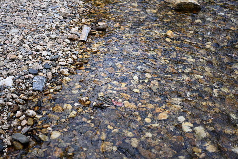 river surface texture river surface texture