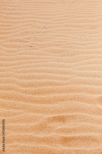 beautiful desert landscape of reddish sand