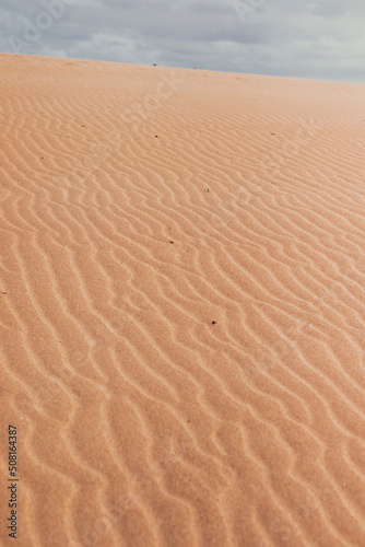 beautiful desert landscape of reddish sand