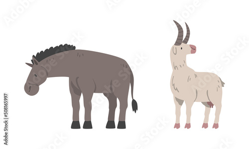 Donkey and Goat as Hoofed Mammal and Farm Animal Vector Set