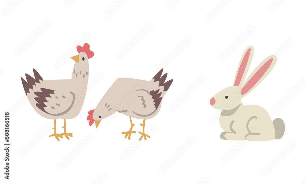 Hen or Chicken Bird and White Rabbit as Farm Animal Vector Set
