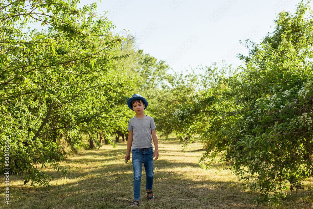 A cheerful kid in jeans, a T-shirt and a blue hat is playing in the garden among the apple trees. A cheerful kid in jeans, a T-shirt and a blue hat is playing in the garden among the apple trees.
