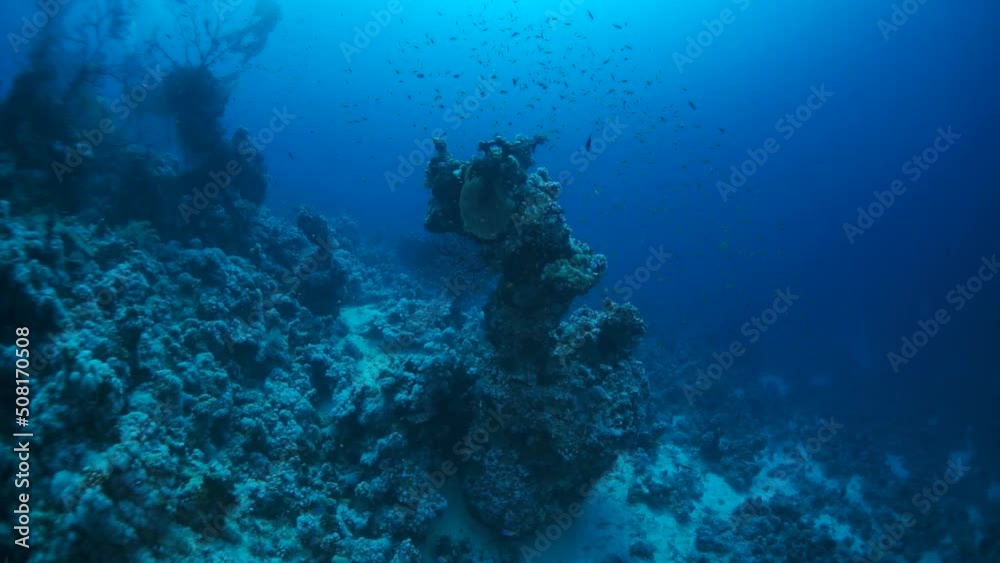 Slow motion underwater shot of teaming hard tropical coral reef top in Red Sea and floating around small colorful fish. Amazing, beautiful marine life world of sea creatures. Scuba diving and tourism. Slow motion underwater shot of teaming hard tropical coral reef top in Red Sea and floating around small colorful fish. Amazing, beautiful marine life world of sea creatures. Scuba diving and tourism.