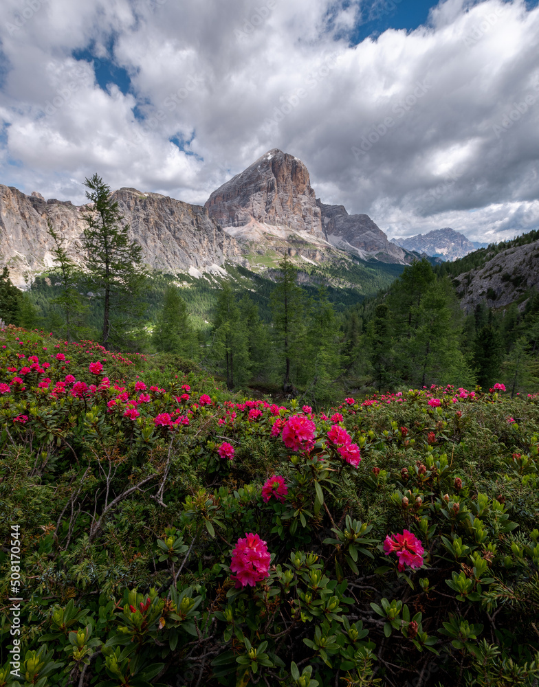 Mountain landscape above the Falzarego pass in the Dolomites